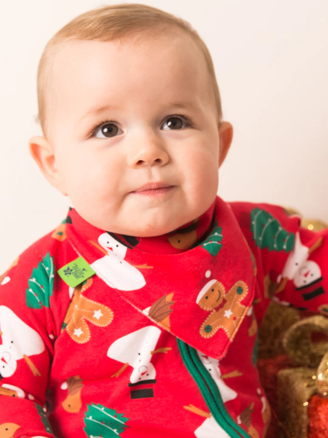 Christmas Bib