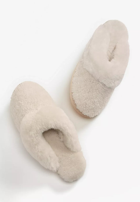 Jolie Teddy Women's Sheepskin Slipper - Natural