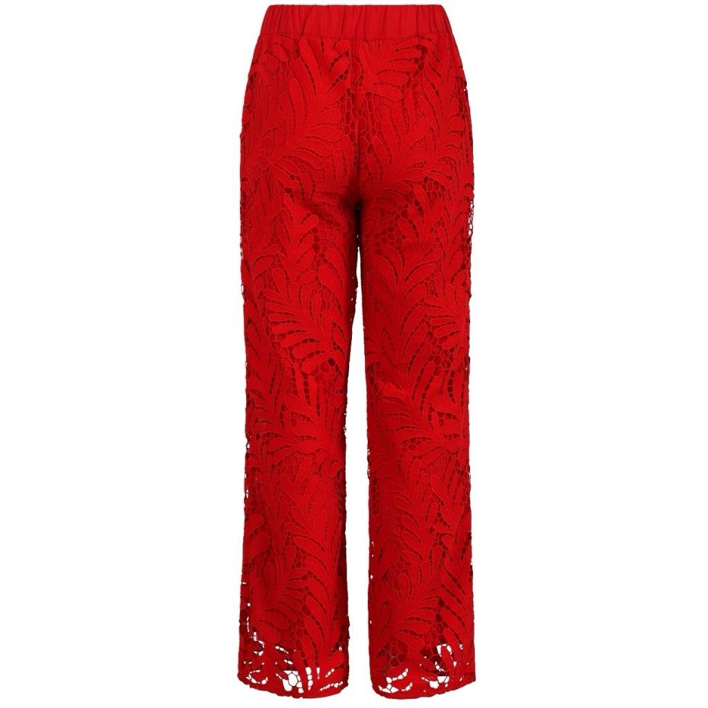 Lace Pants - Scarlett red