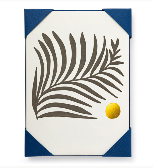 White Fern Card Pack