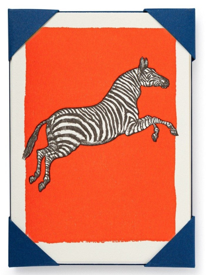 Zebra Pack of 5