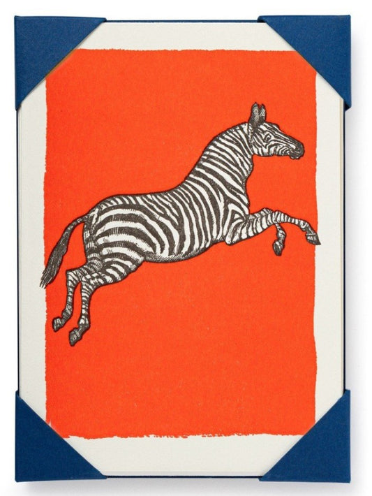 Zebra Pack of 5