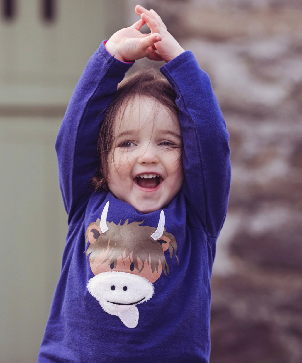 Highland Cow Top