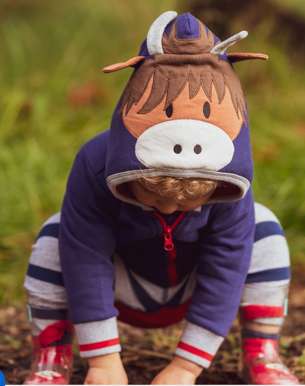 Highland Cow Hoodie