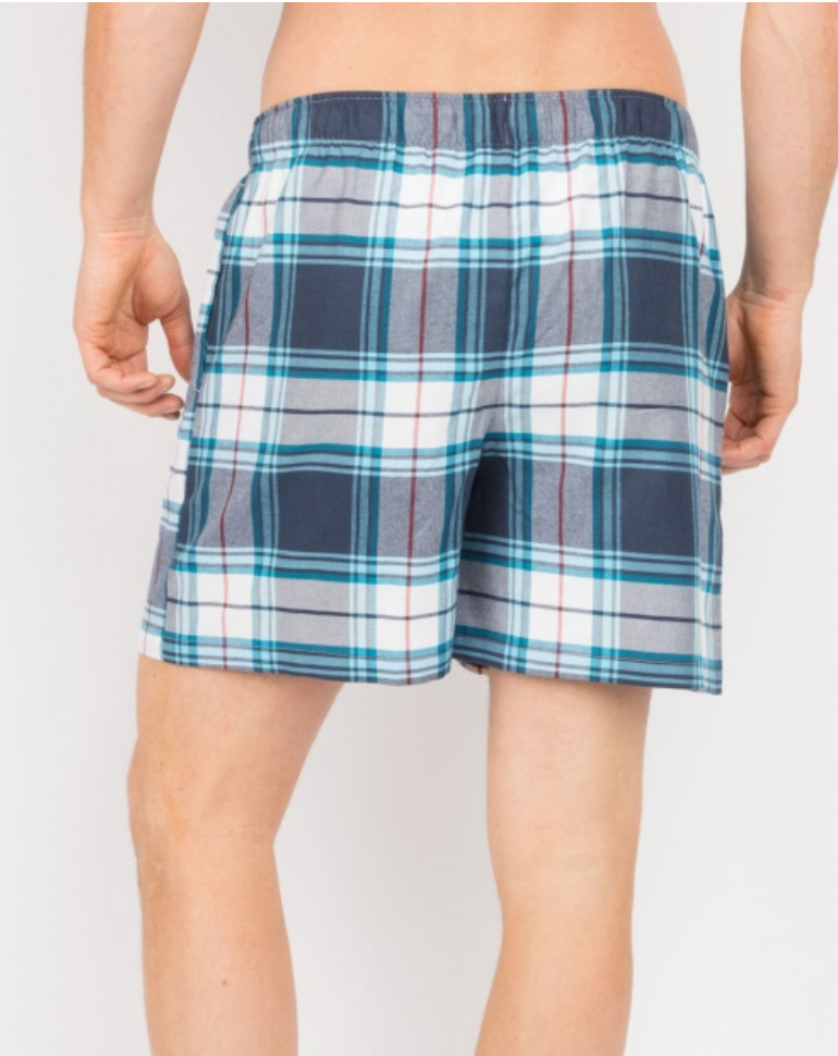 Lewis Brushed Check Shorts