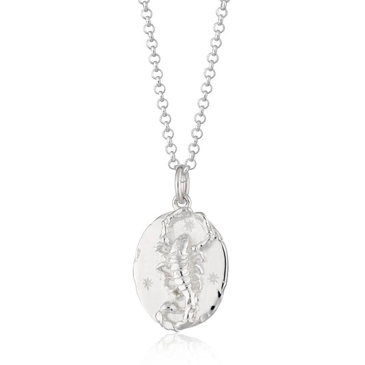 Scorpio Zodiac Necklace - Silver