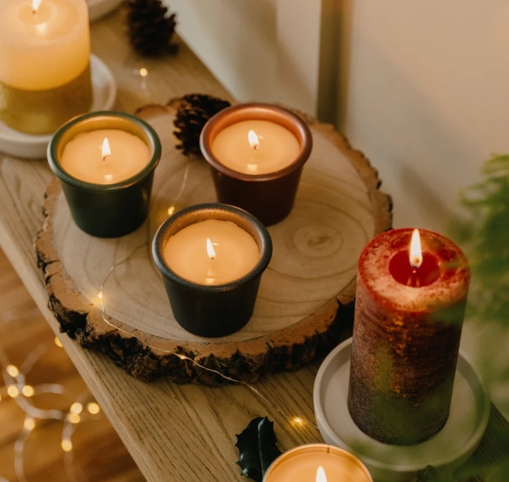 Winter Thyme Stardust Christmas Pot