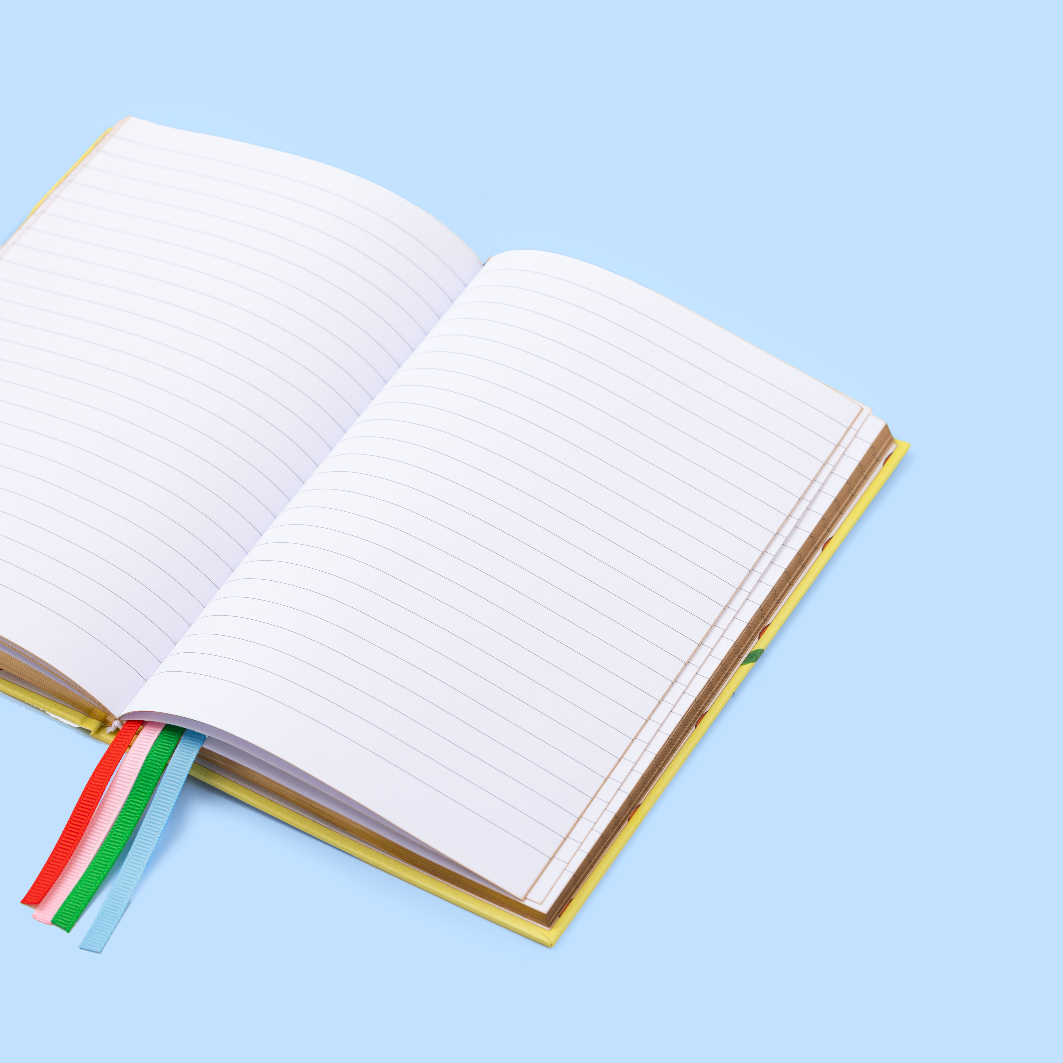 Wildest Dreams Notebook