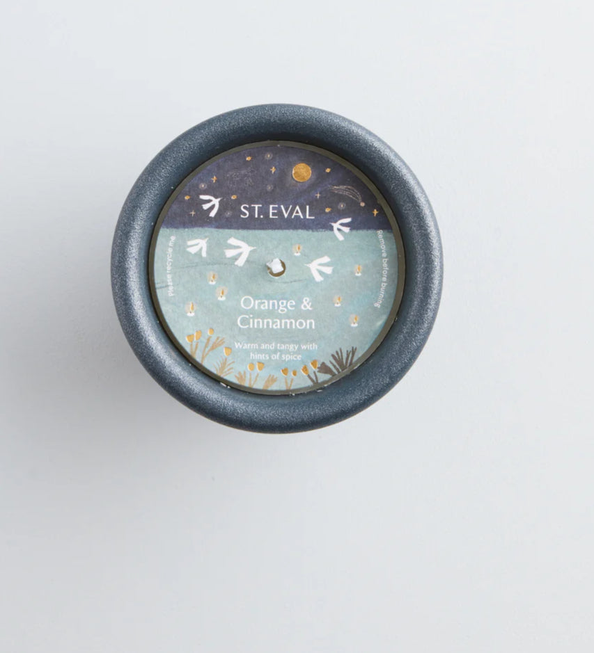 Orange & Cinnamon Stardust Christmas Pot