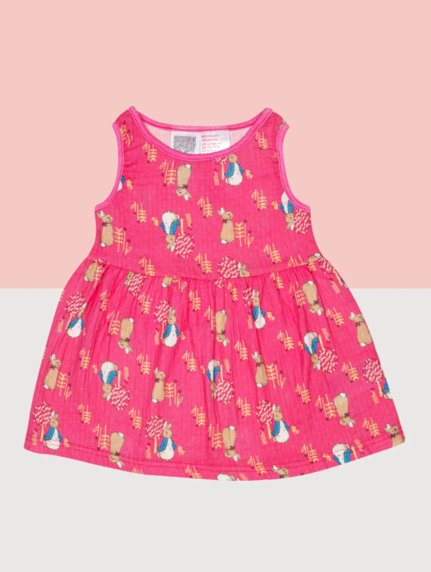 Peter Rabbit Springtime Dress