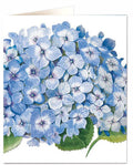 Blue Hydrangea Card