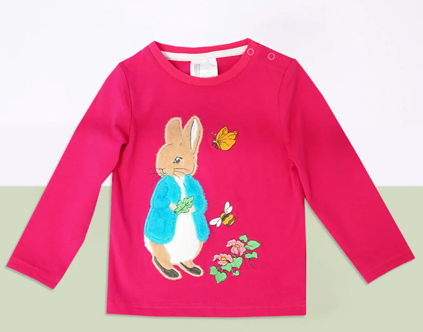 Peter Rabbit Autumn Leaf Top