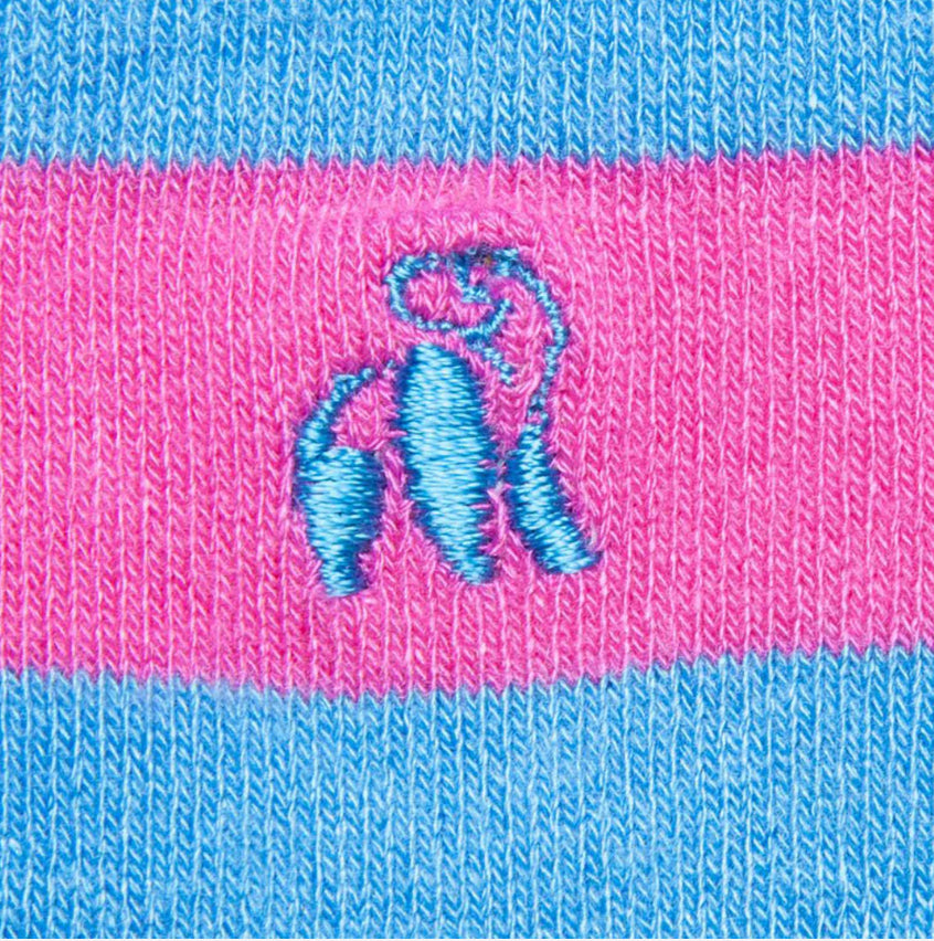 Pink And Blue Striped Bamboo Socks