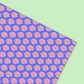 Let's Shellebrate Gift Wrap