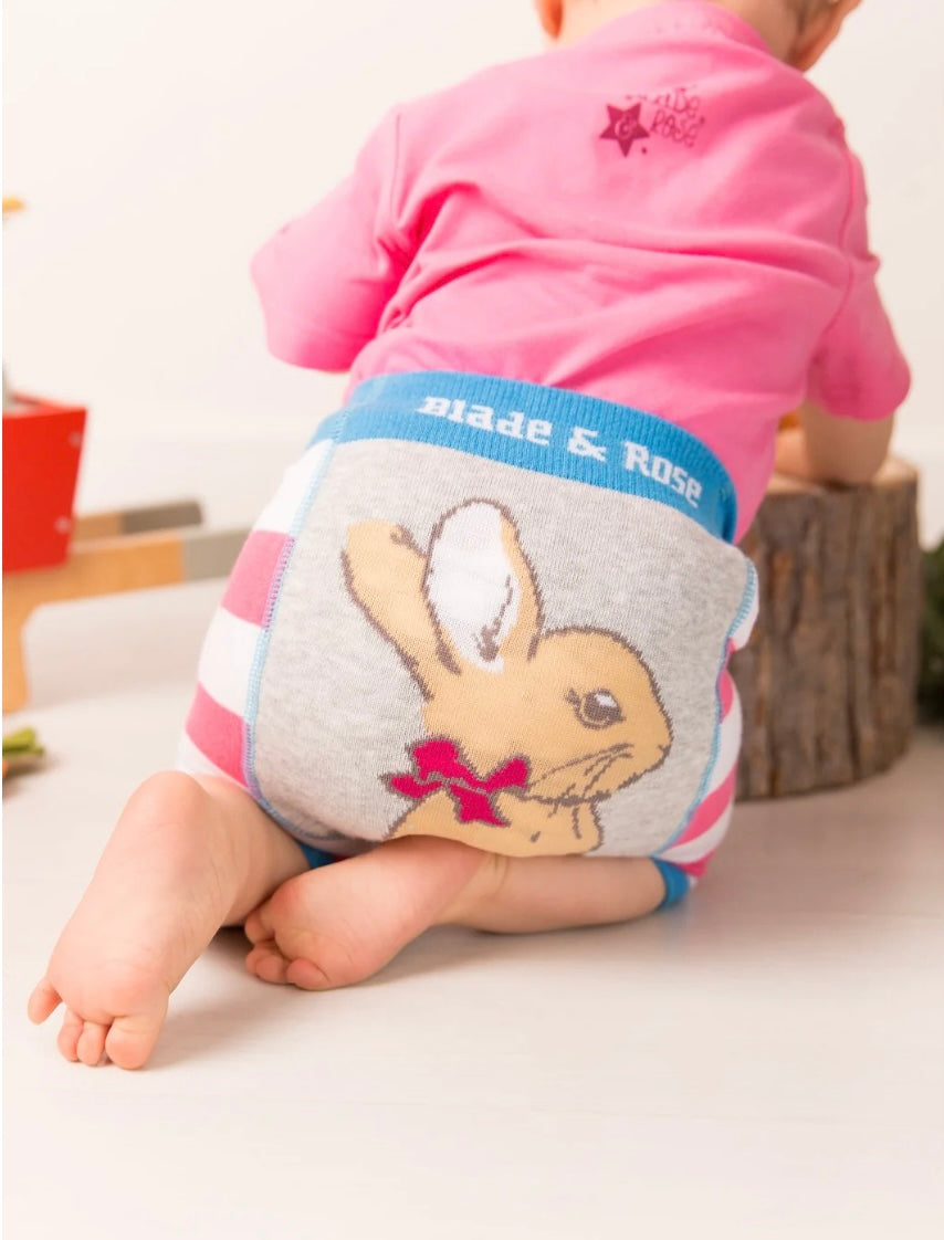 Peter Rabbit Springtime Design - Shorts