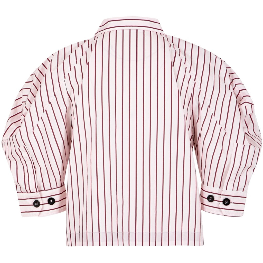 Top With Volume Sleeves