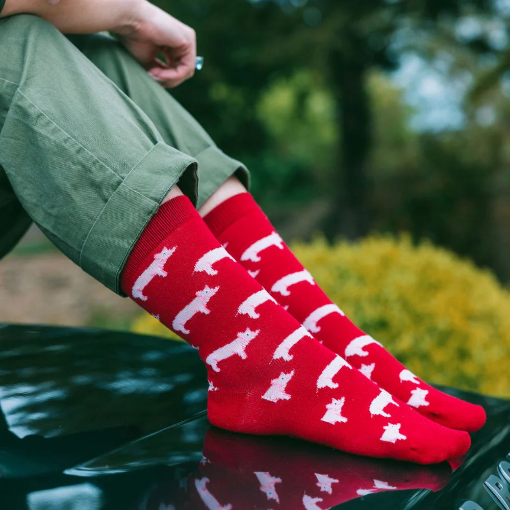 Pig Bamboo Socks