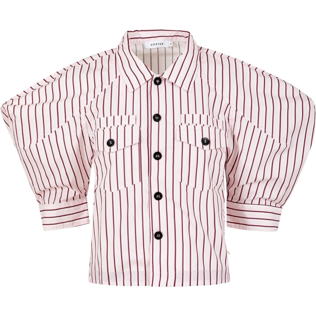 Top With Volume Sleeves