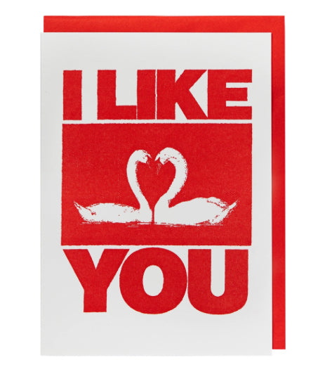 I Like You Greeting Card