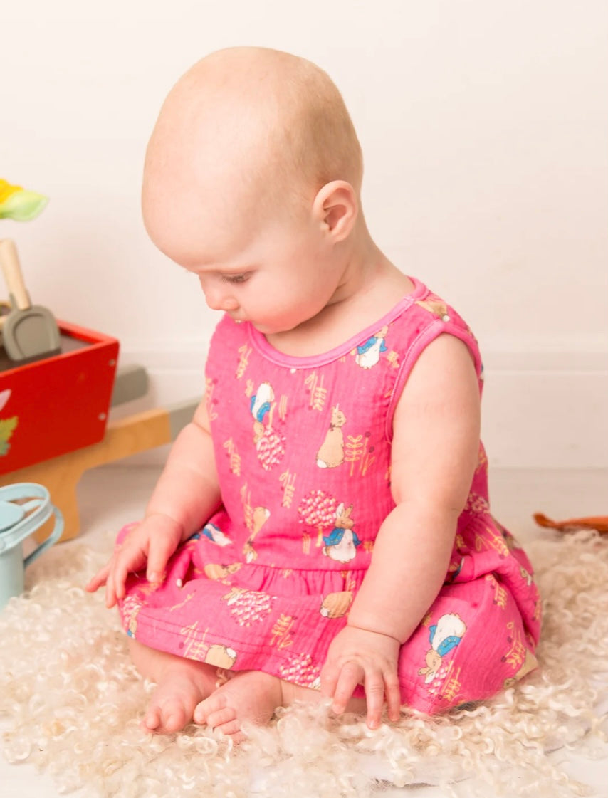 Peter Rabbit Springtime Dress