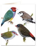Finches cards