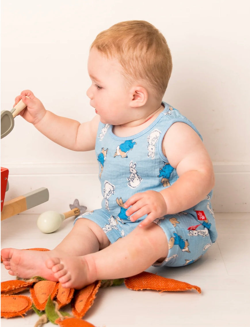 Peter Rabbit Seaside Summer Set