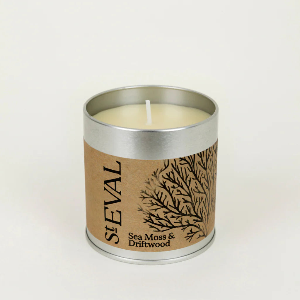 Sea Moss & Driftwood Tin Candle