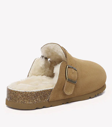 AUSTRALIAN HAZCO MULES