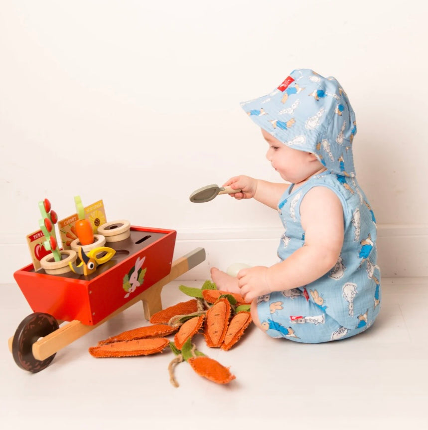 Peter Rabbit Seaside Summer Set