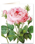 Rosa Galicia Card