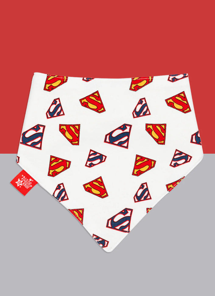 Superman Saves The Day Pack Of 2