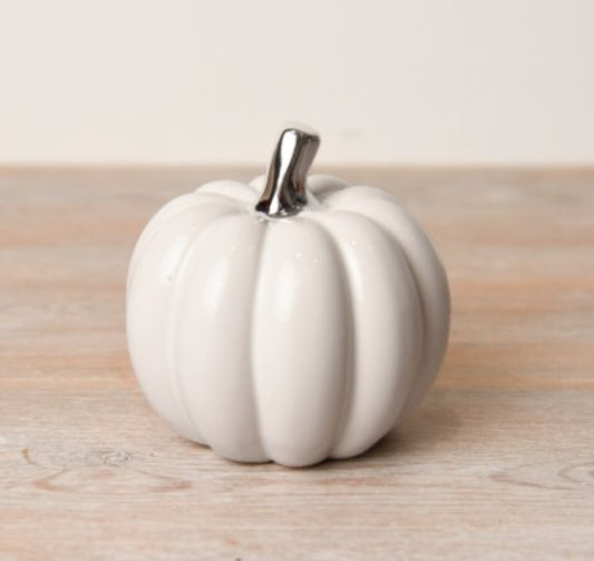 Medium White Pumpkin With Silver Stalk