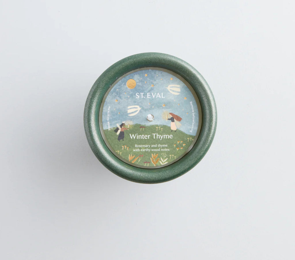 Winter Thyme Stardust Christmas Pot