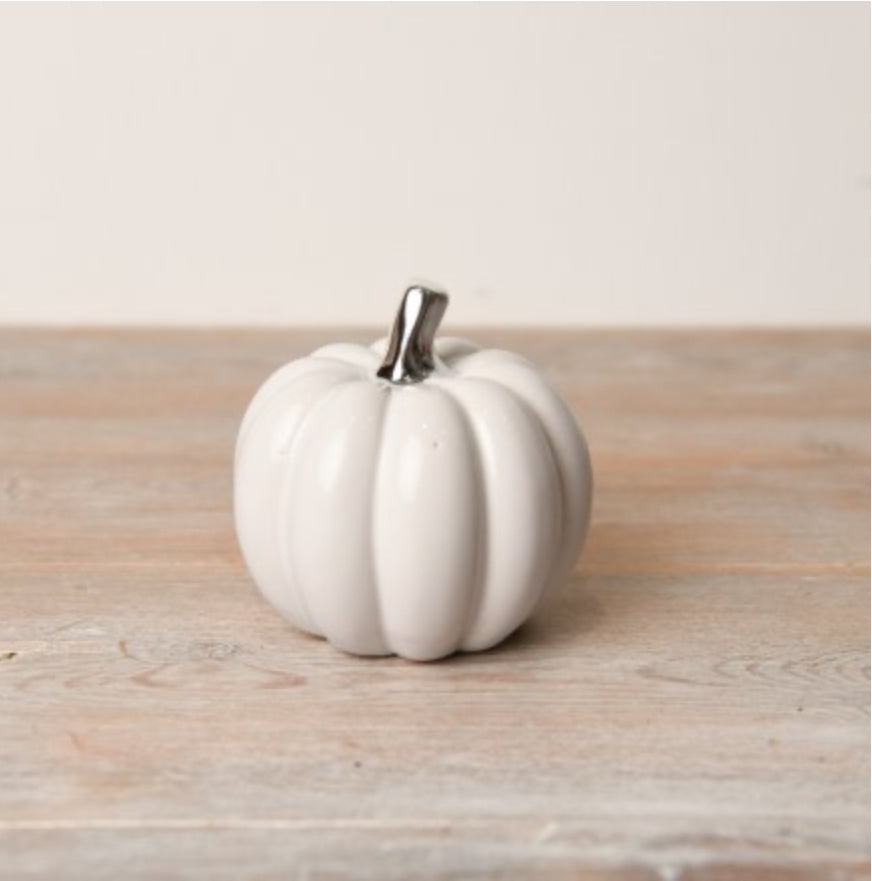 Small White Pumpkin with Silver Stalk