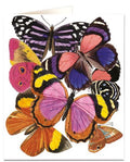 Butterflies Card