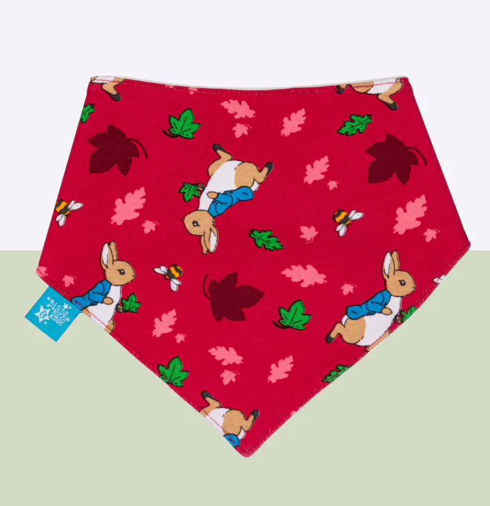 Peter Rabbit Autumn Leaf Bib