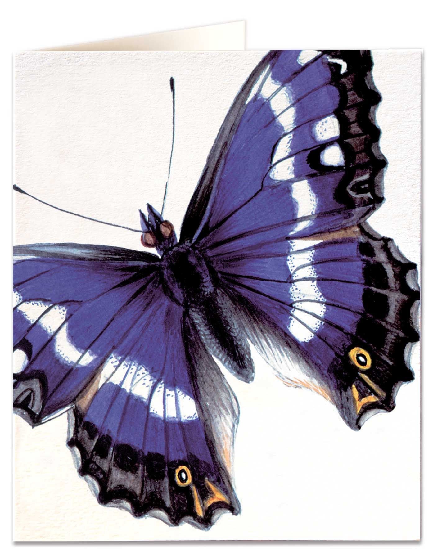 Purple Emperor Card