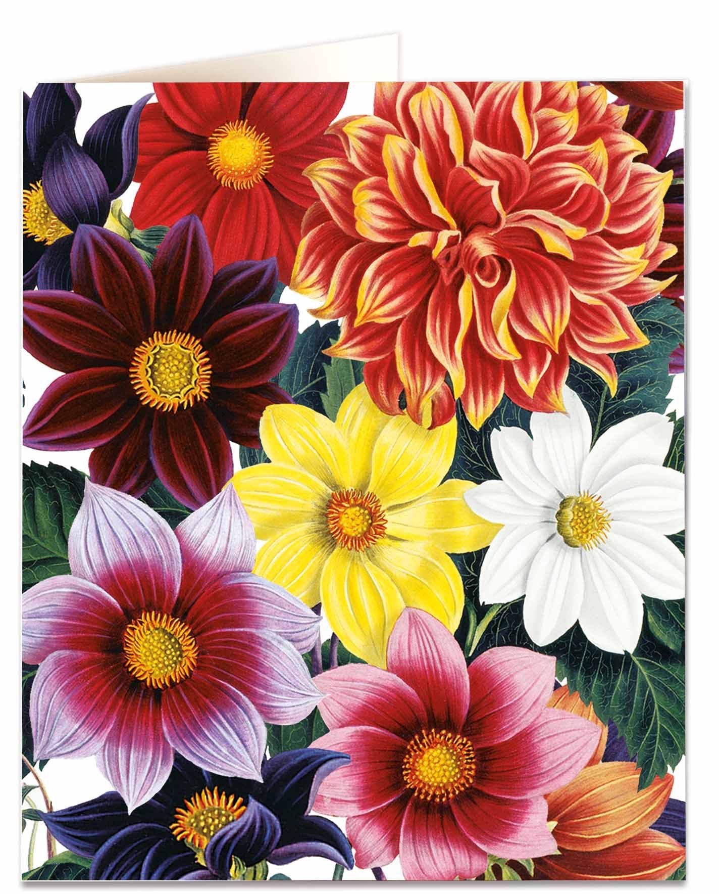 Dahlias Flower Card