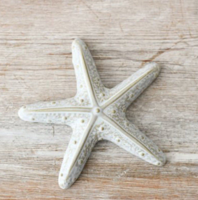 Porcelain Starfish , 10cm