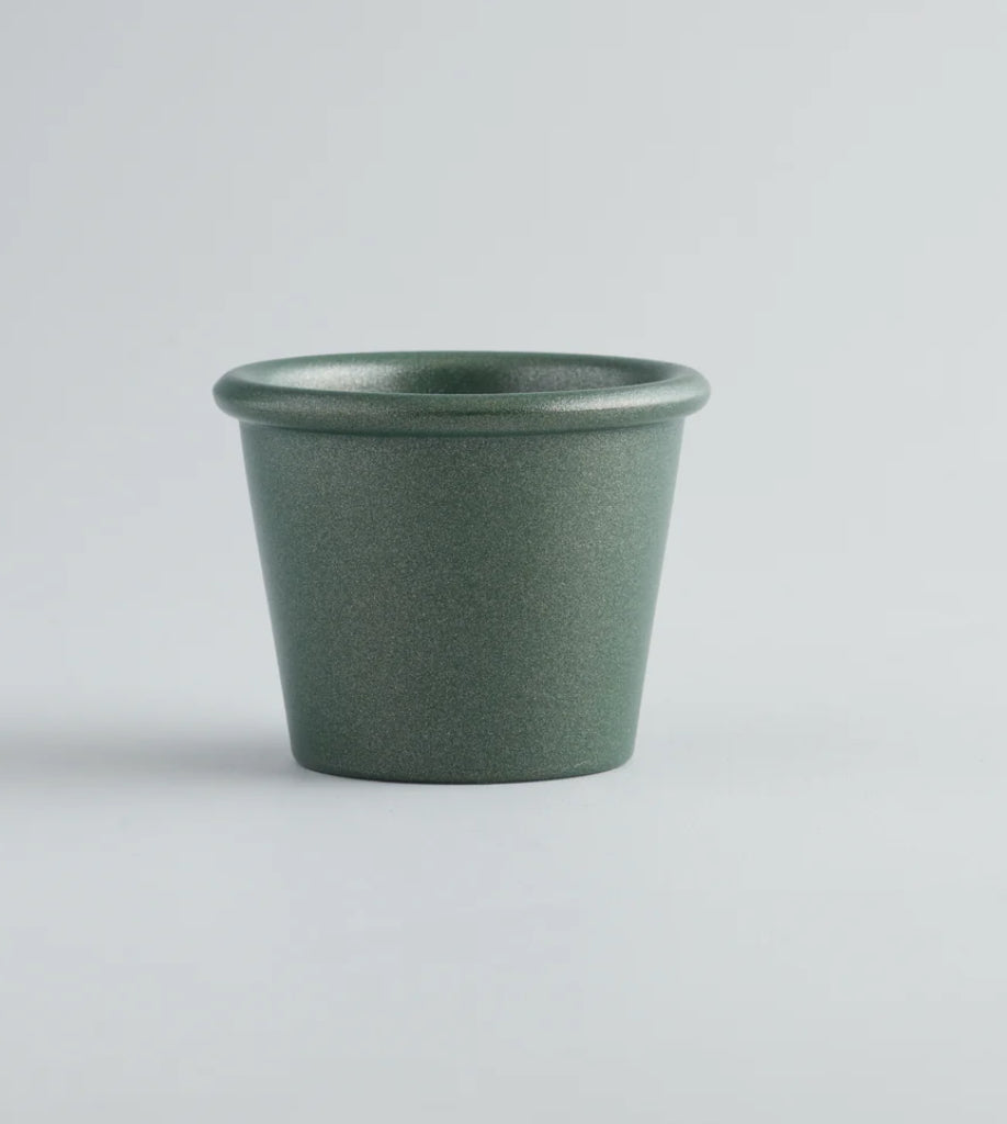 Winter Thyme Stardust Christmas Pot