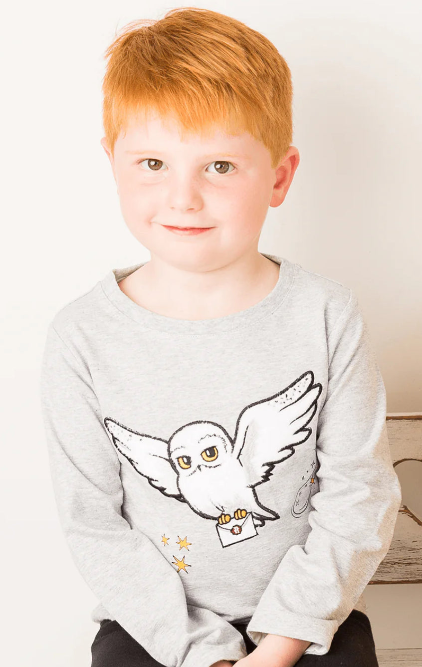 Harry Potter Hedwig Top