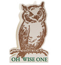 ‘Oh Wise One’ Owl Birthday Card
