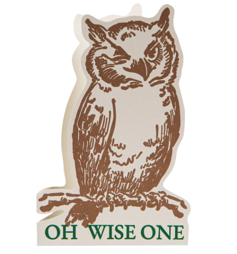 ‘Oh Wise One’ Owl Birthday Card