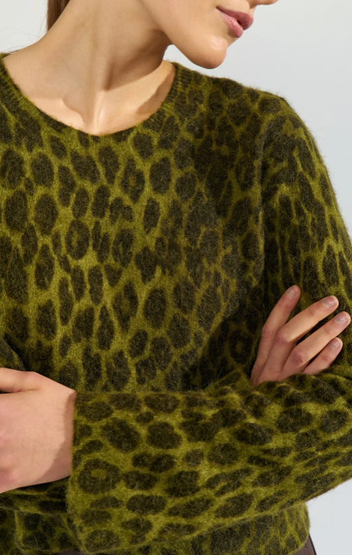 NUTRIETTE LEO PULLOVER