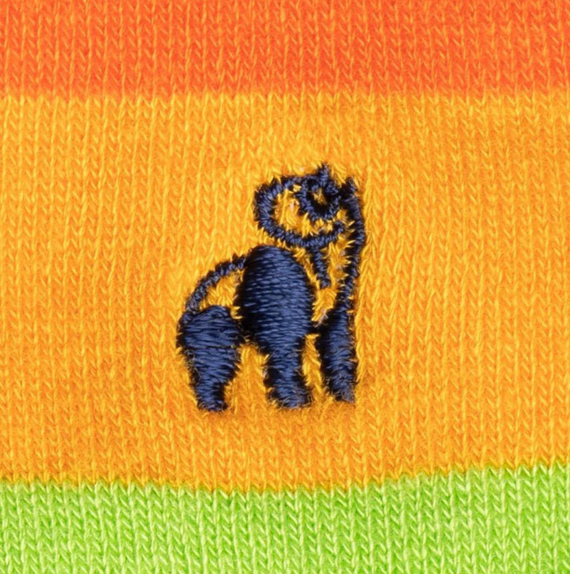 Pride Bamboo Socks