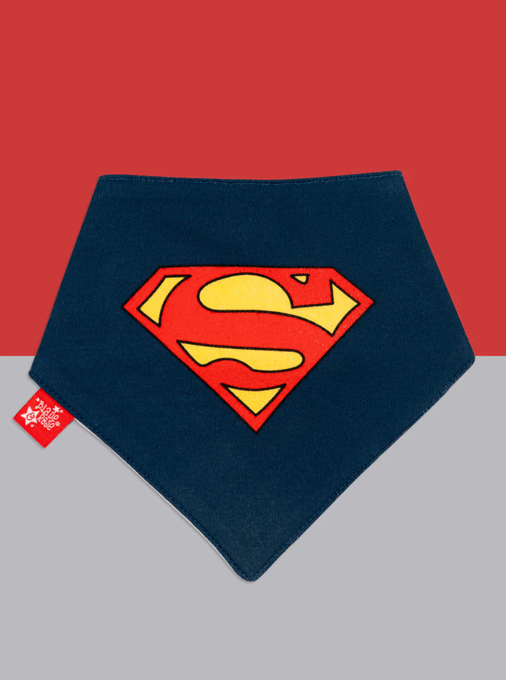 Superman Saves The Day Pack Of 2