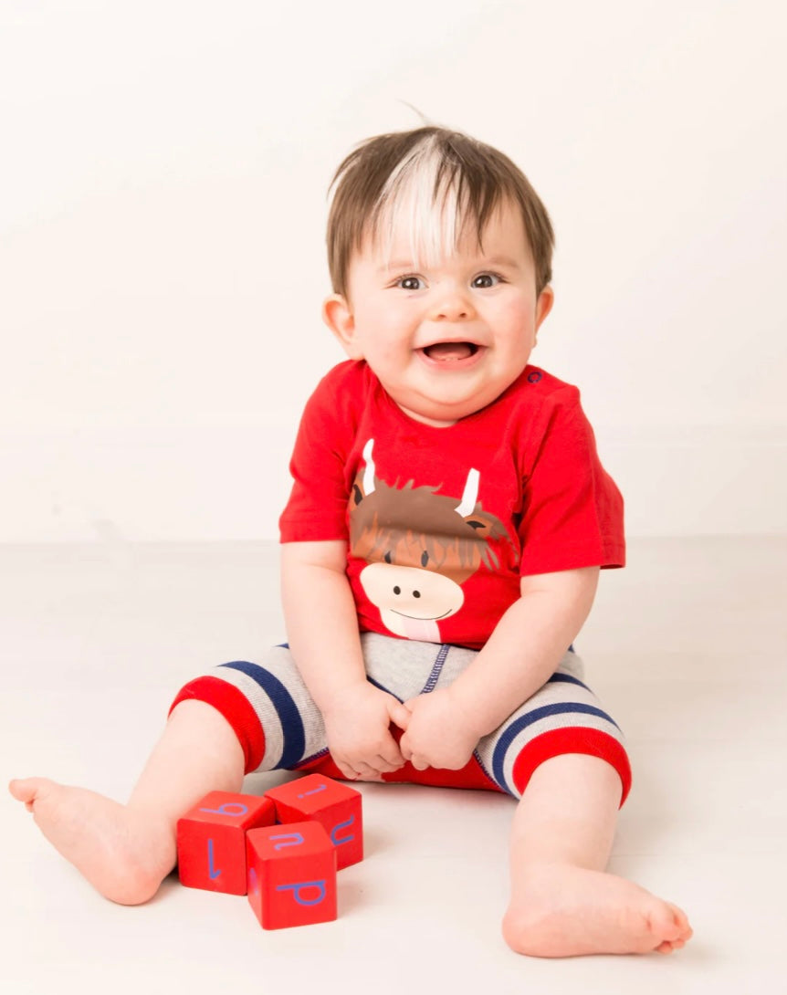 Hamish Highland Cow Summer Tee