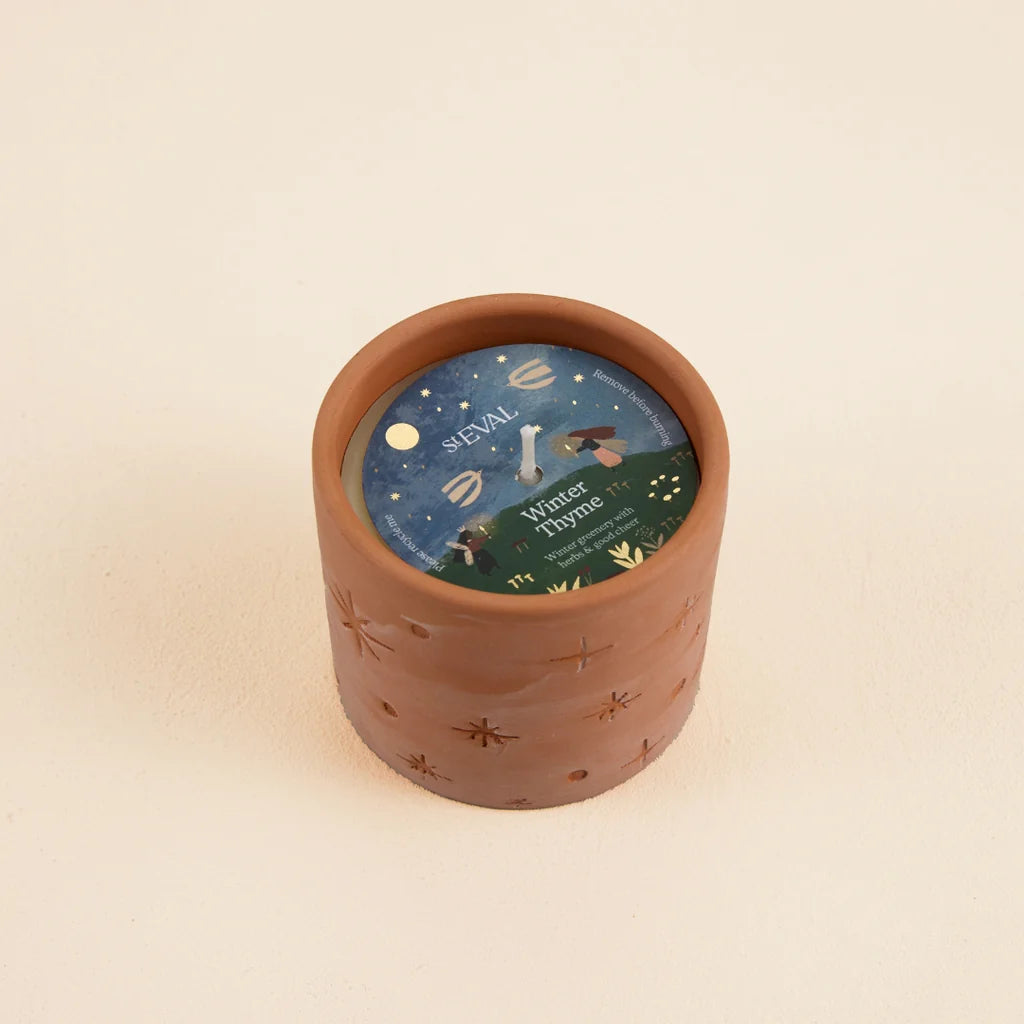 Winter Thyme Star Gazy Pot