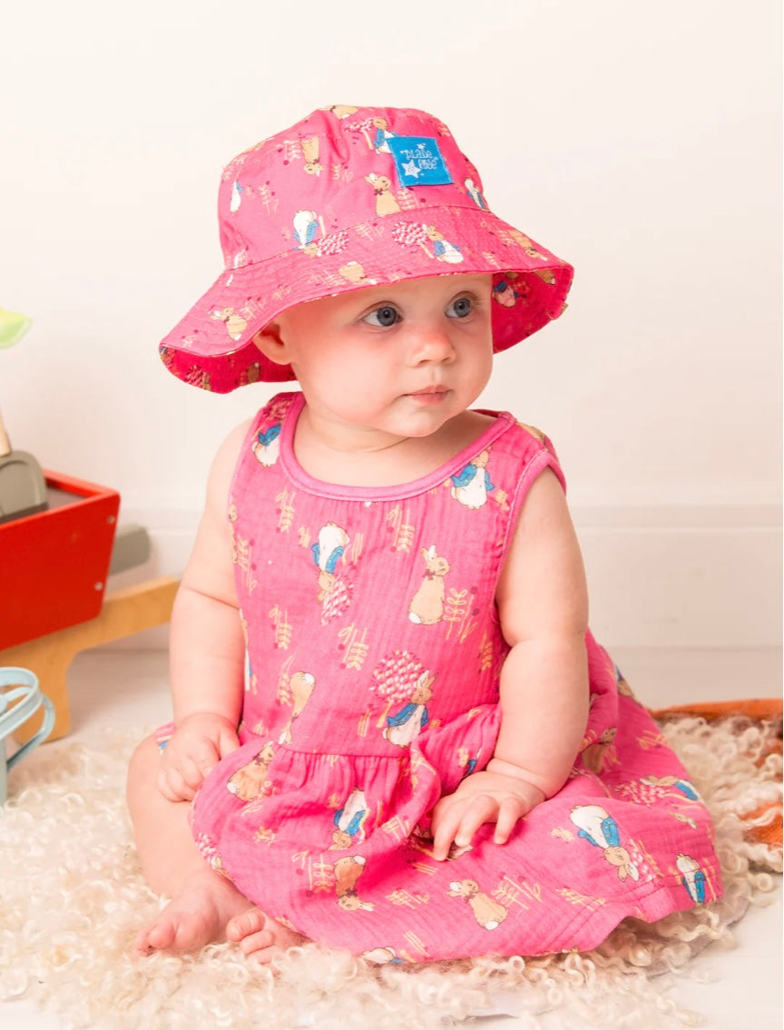 Peter Rabbit Spring Time Collection Peter Rabbit Springtime Dress – KIT Lifestyle