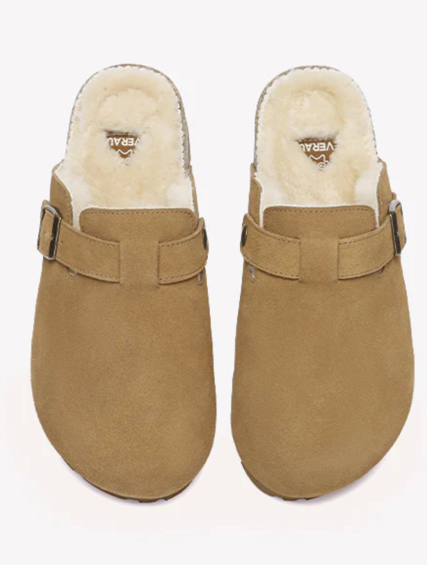 AUSTRALIAN HAZCO MULES
